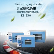 KB-2021真空干燥箱
